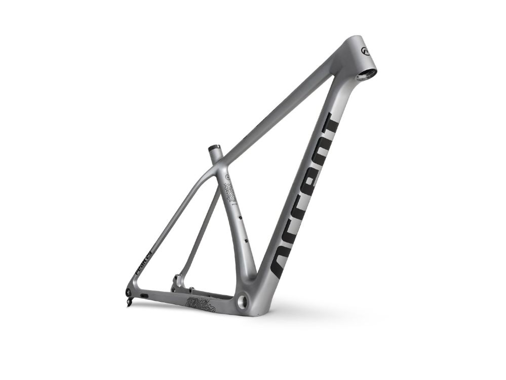 Accent Peak Carbon Boost frame - Size XS Platinum